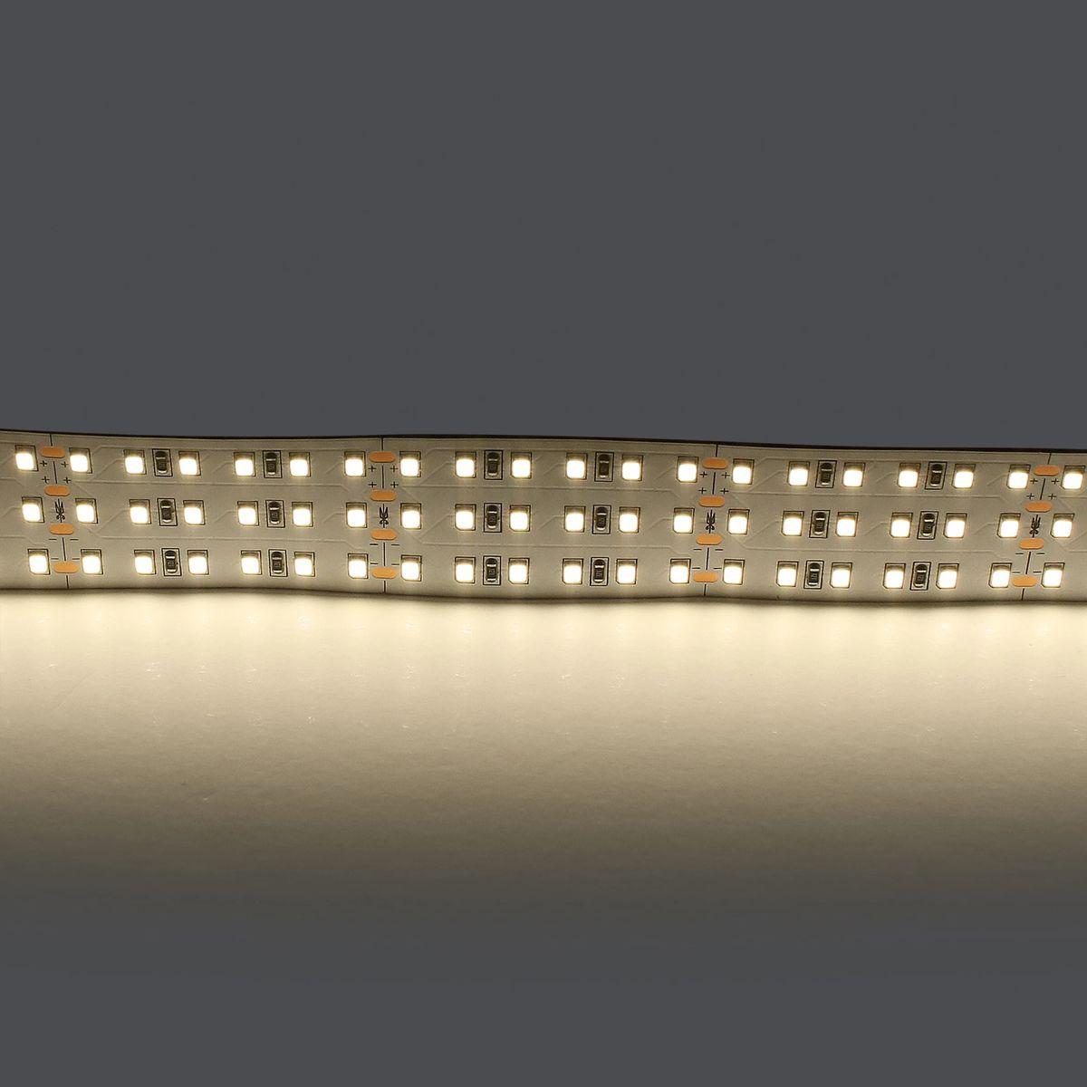 фото светодиодная лента дневной белый lightstar 44w/m 360led/m 5m 423004 | 220svet.ru