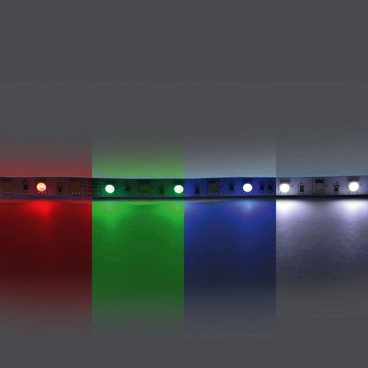 фото светодиодная лента rgb-белый lightstar 14,4w/m 60led/m  5m 421000 | 220svet.ru