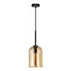 Миниатюра фото подвесной светильник arte lamp paio a7015sp-1bk | 220svet.ru