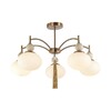 Миниатюра фото потолочная люстра lumion gloriya 8272/5c бежевый | 220svet.ru