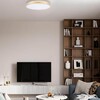 Миниатюра фото потолочный светильник loft it flims 10228/b | 220svet.ru