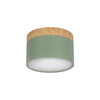 Миниатюра фото накладной светильник loft it grape 10162 green | 220svet.ru