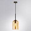 Миниатюра фото подвесной светильник arte lamp paio a7015sp-1bk | 220svet.ru