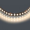 Миниатюра фото светодиодная лента 3000к 24v 12w/m lightstar 420893 | 220svet.ru