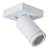 Миниатюра фото спот lucide taylor 09930/05/31 | 220svet.ru
