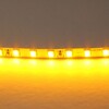 Миниатюра фото светодиодная лента янтарный lightstar 12w/m 120led/m 5m 420510 | 220svet.ru