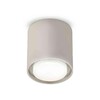 Миниатюра фото комплект накладного светильника ambrella light techno spot xs7724016 sgr/fr/cl серый песок/белый матовый/прозрачный (c7724, n7160) | 220svet.ru
