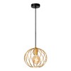 Миниатюра фото подвесной светильник lucide 21428/25/02 | 220svet.ru