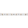 Миниатюра фото светодиодная лента 2700к 24в 4,8вт/м 5м ip65 maytoni ultra 201012 | 220svet.ru