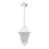 Миниатюра фото уличный подвесной светильник feron классика нсу 0460001 32269 | 220svet.ru