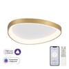 Миниатюра фото потолочная люстра с пультом ду citilux genka smart cl756a142 | 220svet.ru