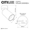 Миниатюра фото потолочный светильник citilux axel cl512212 | 220svet.ru
