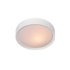 Миниатюра фото потолочный светильник lucide lex 08109/02/31 | 220svet.ru