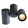 Миниатюра фото спот arte lamp gavroche a1511pl-2gy | 220svet.ru