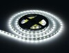 Миниатюра фото светодиодная лента холодный белый ambrella light 4,8w/m 60led/m 2835smd 6500к 5m gs1003 | 220svet.ru