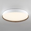Миниатюра фото потолочный светодиодный светильник с пультом ду citilux bonny cl754450g rgb | 220svet.ru
